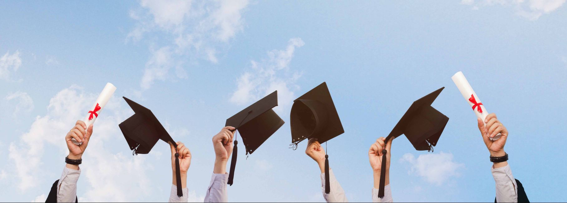 ��ҵ��վ�Ż�ƽ̨--�õ�Ƭ1/